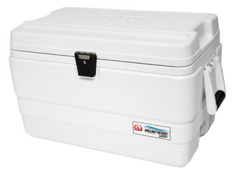 Igloo Igloo Kylbox ACDC Termoelektrisk 42L IE42L 1788234