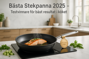 Köksredskap Tina Satake Kolstål Stekpanna 28cm openai 1746350980